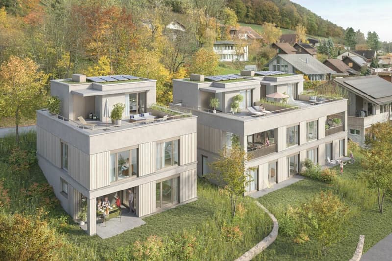 Casa unifamiliare - UNTERDORF MÖNTHAL - Architettura contemporanea nel cuore della natura (6)