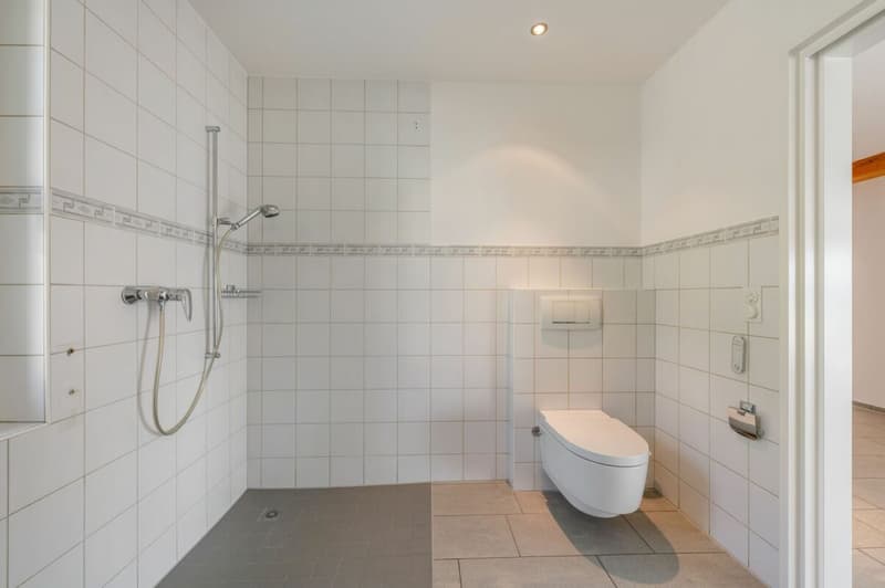 Casa indipendente di 6,5 locali con appartamento di 2,5 locali in una posizione meravigliosa con una vista impareggiabile! (10)