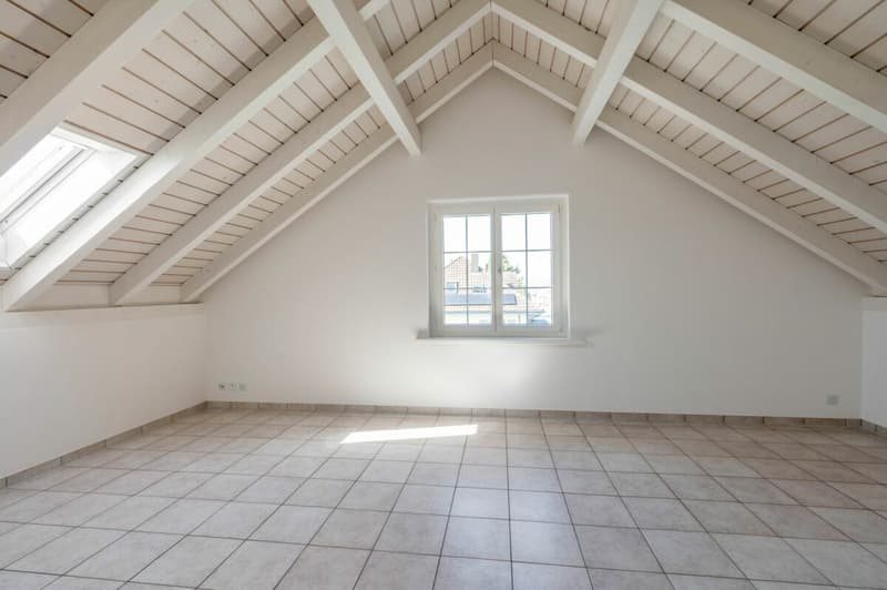 Casa indipendente di 6,5 locali con appartamento di 2,5 locali in una posizione meravigliosa con una vista impareggiabile! (15)