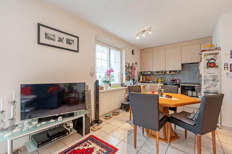 Casa indipendente di 6,5 locali con appartamento di 2,5 locali in una posizione meravigliosa con una vista impareggiabile! (20)