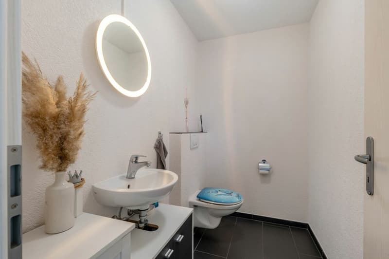 Gehobenes 5.5-Zimmer-Einfamilienhaus an ruhiger, begehrter Wohnlage! (8)