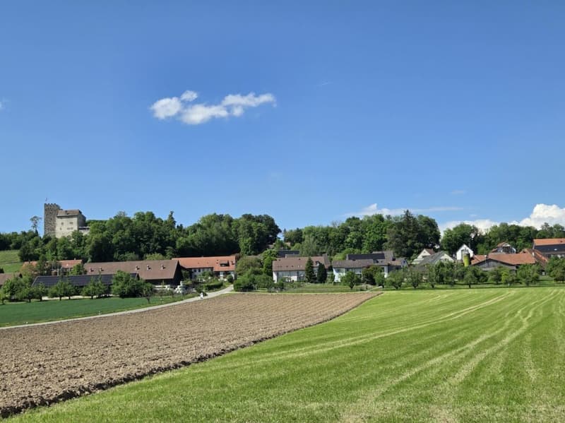 Bevorzugt gelegenes Baulandgrundstück (1'664m²), perfekt geeignet für Ein-, Zwei-, Reihen- oder Mehrfamilienhäuser (4)