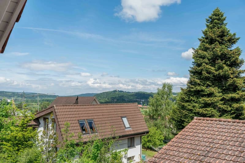 Hochwertiges 6.5-Zimmer-Einfamilienhaus an erhöhter ruhiger Wohnlage! (12)