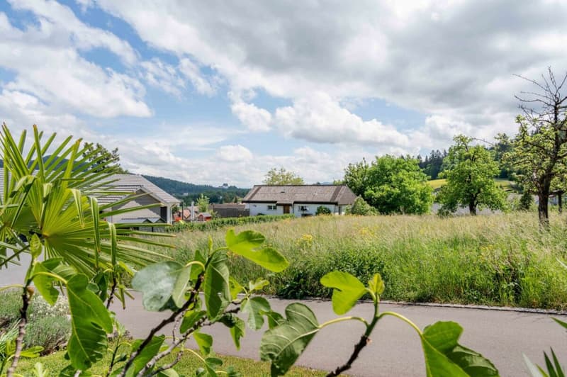 Hochwertiges 6.5-Zimmer-Einfamilienhaus an erhöhter ruhiger Wohnlage! (22)
