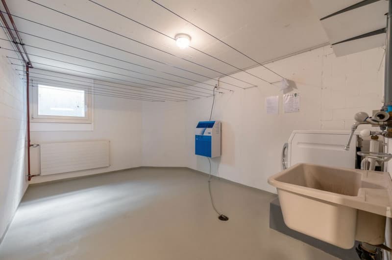 Hochwertiges 6.5-Zimmer-Einfamilienhaus an erhöhter ruhiger Wohnlage! (18)