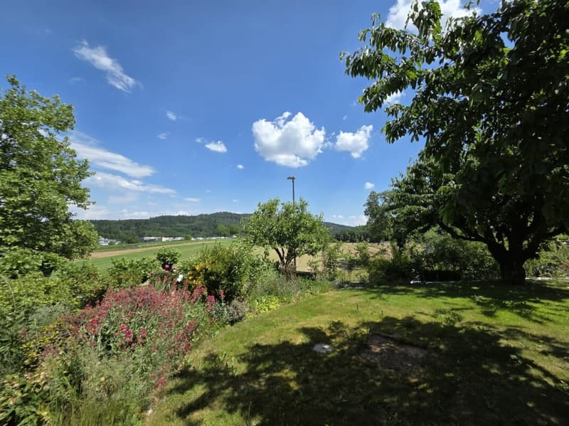 Ruhig gelegene 3.5-Zimmer-Erdgeschosswohnung mit herrlichem Garten und Blick ins Grüne (12)