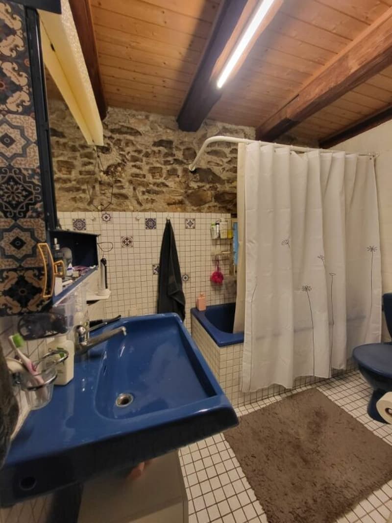 Einzigartiges Bauernhaus mit viel Umschwung (8)