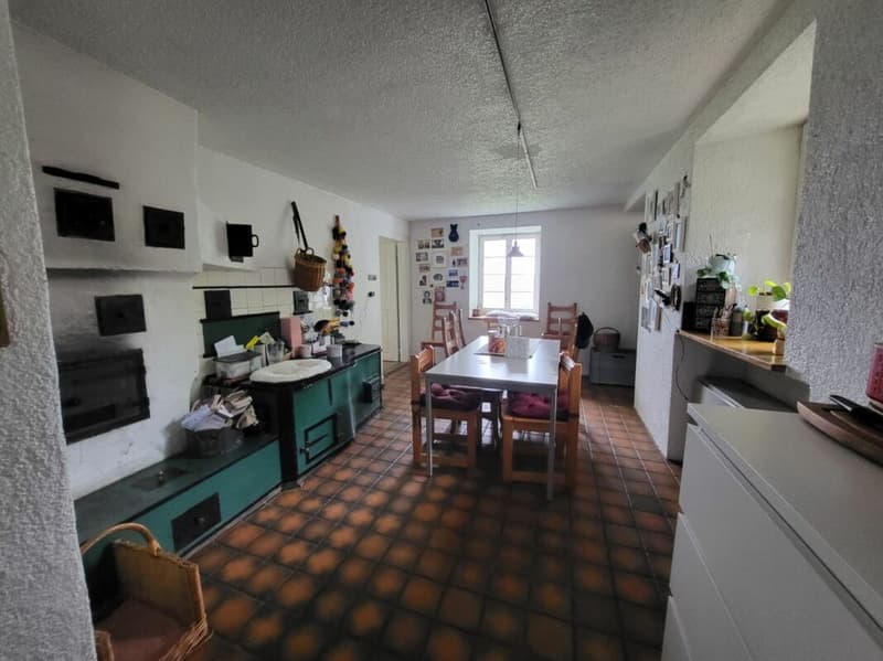 Einzigartiges Bauernhaus mit viel Umschwung (3)