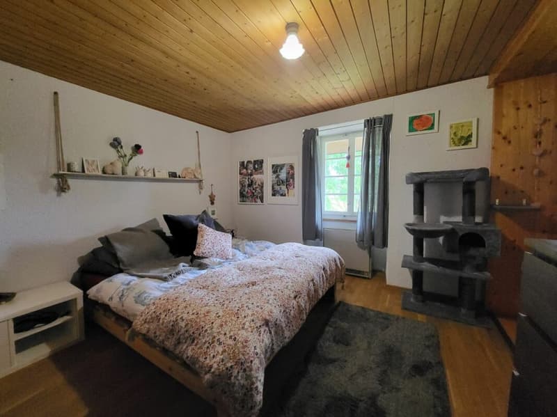 Einzigartiges Bauernhaus mit viel Umschwung (5)