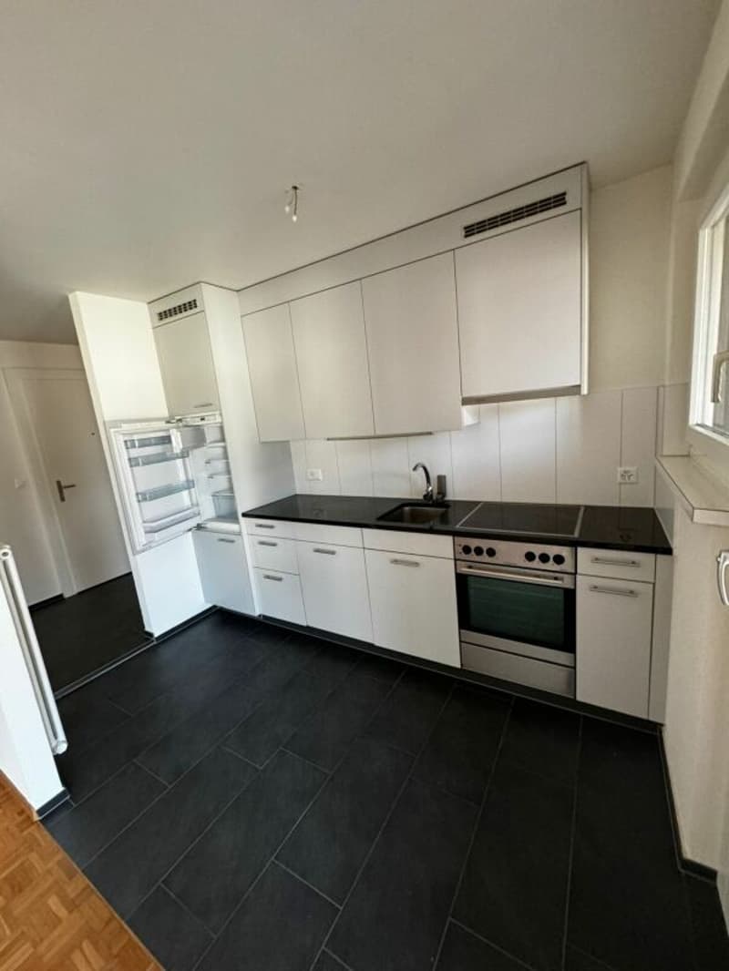 Helle 2.5-Zimmer-Wohnung in ruhigem Wohnquartier mit herrlichem Balkon (3)