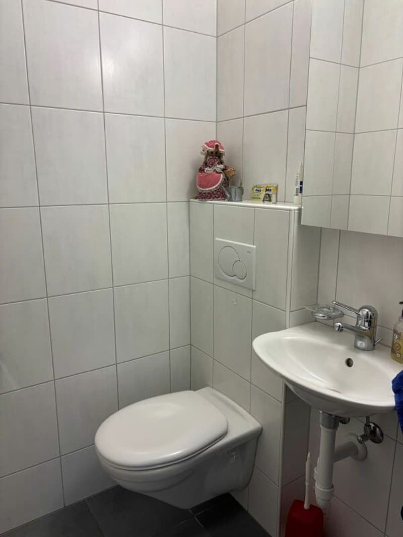 Grosszügige, sehr gepflegte 3.5-Zimmer-Wohnung mit sonnigem Balkon (9)