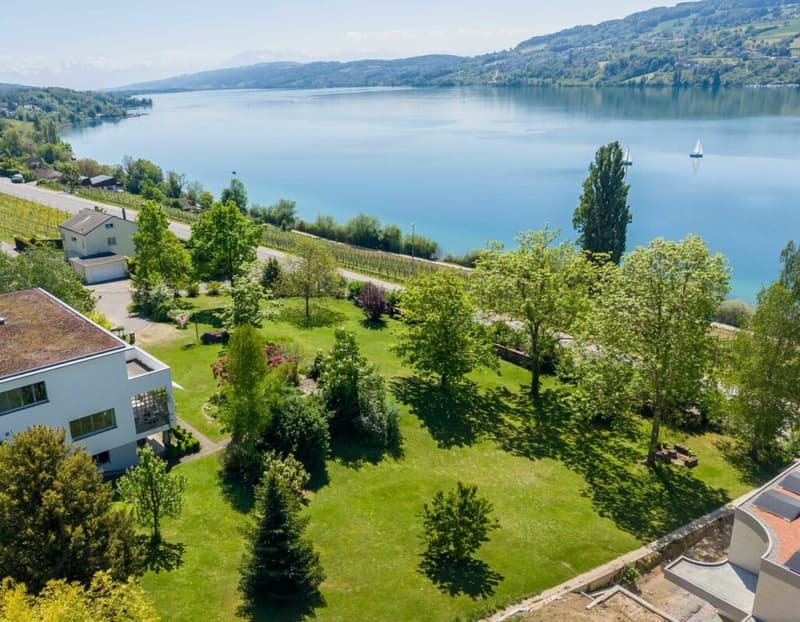 Exklusive Baulandparzelle mit 1'350 m2 in leichter Hanglage - unverbaubare Seesicht (1)