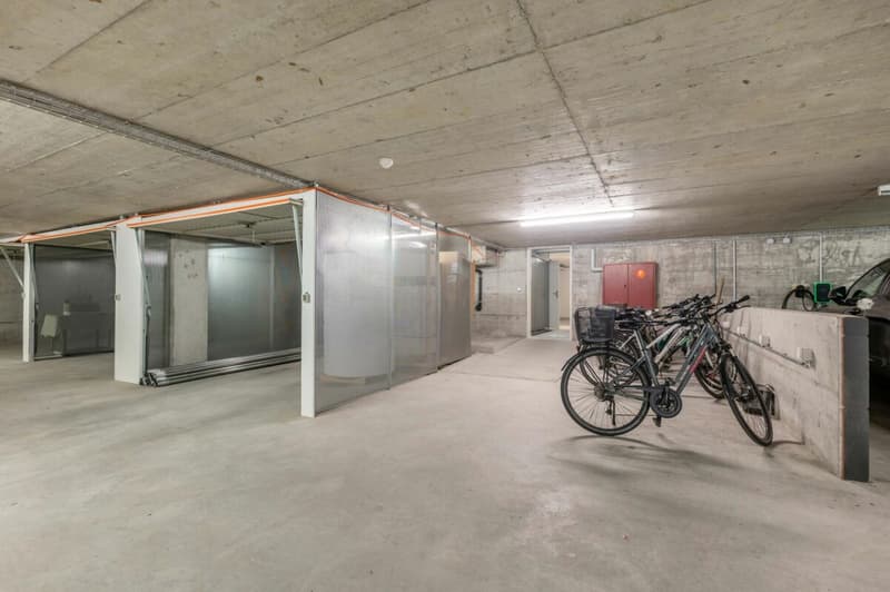 Grosszügige Erdgeschosswohnung mit grossem Garten im ruhigen und beliebten Wohnquartier "Scheibenschachen" direkt an der Aare (18)