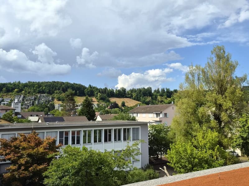 Erstvermietung - moderne und urbane 2.5-Zimmer-Wohnung in Brugg (2)