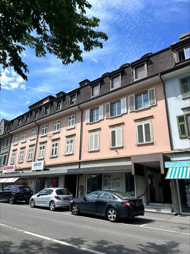 Helle 3.0-Zimmer-Wohnung an zentraler Lage zu vermieten (1)