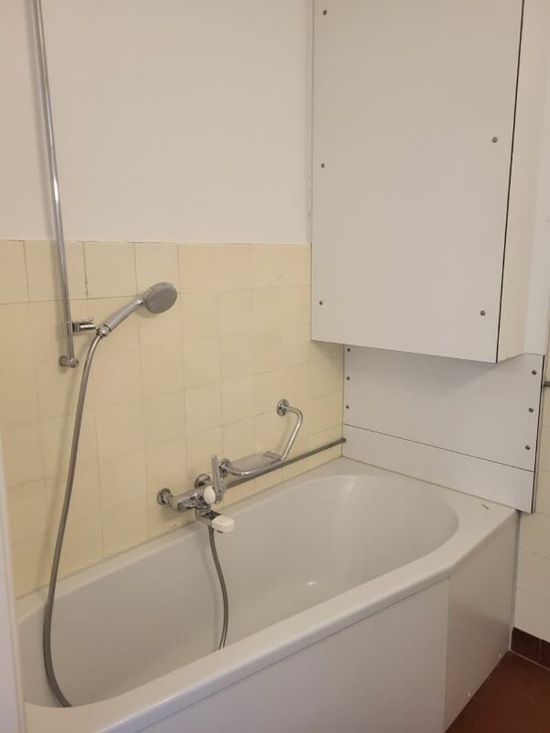 Helle 3.0-Zimmer-Wohnung an zentraler Lage zu vermieten (7)