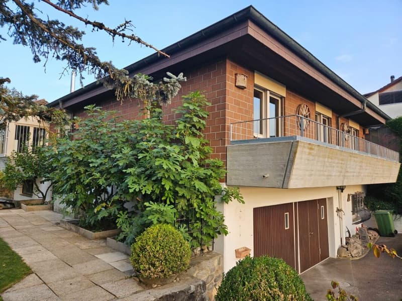 Freistehendes 5.5-Zimmer-Einfamilienhaus mit Nebenräumen à 35 m2 und Doppelgarage. (10)