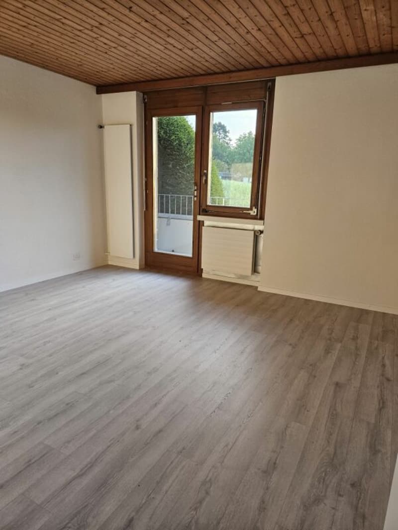 Freistehendes 5.5-Zimmer-Einfamilienhaus mit Nebenräumen à 35 m2 und Doppelgarage. (6)