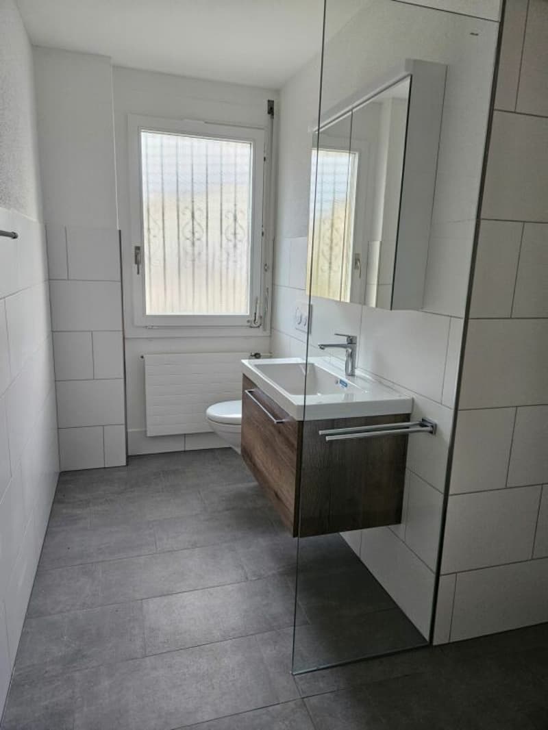 Freistehendes 5.5-Zimmer-Einfamilienhaus mit Nebenräumen à 35 m2 und Doppelgarage. (4)