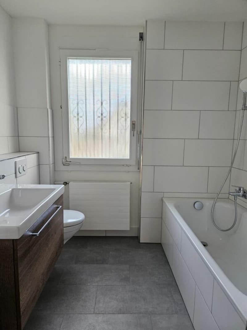Freistehendes 5.5-Zimmer-Einfamilienhaus mit Nebenräumen à 35 m2 und Doppelgarage. (5)