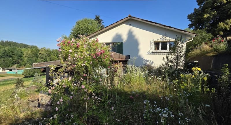 Freistehendes 3.5-Zimmer-Einfamilienhaus zentrumsnah, an sonniger Lage mit Weitsicht (3)