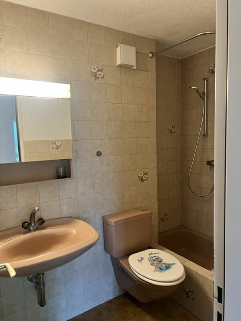 Ruhig gelegene 5.5-Zimmer-Maisonette-Wohnung mit Balkon zu vermieten (5)