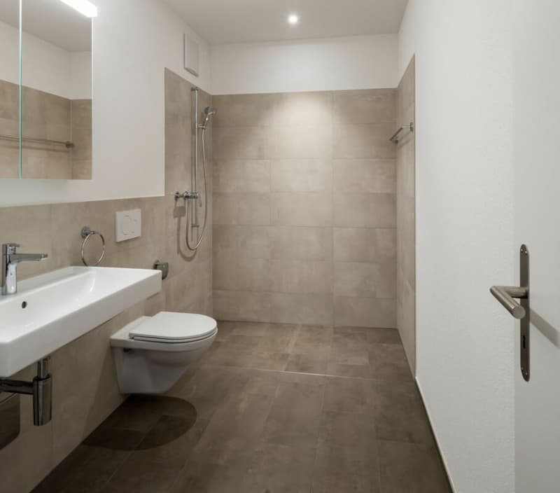 Hochwertig ausgebaute 2.5-Zimmer-Dachwohnung zu vermieten (8)