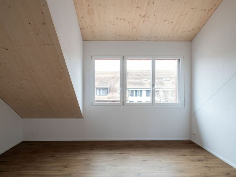 Hochwertig ausgebaute 2.5-Zimmer-Dachwohnung zu vermieten (6)