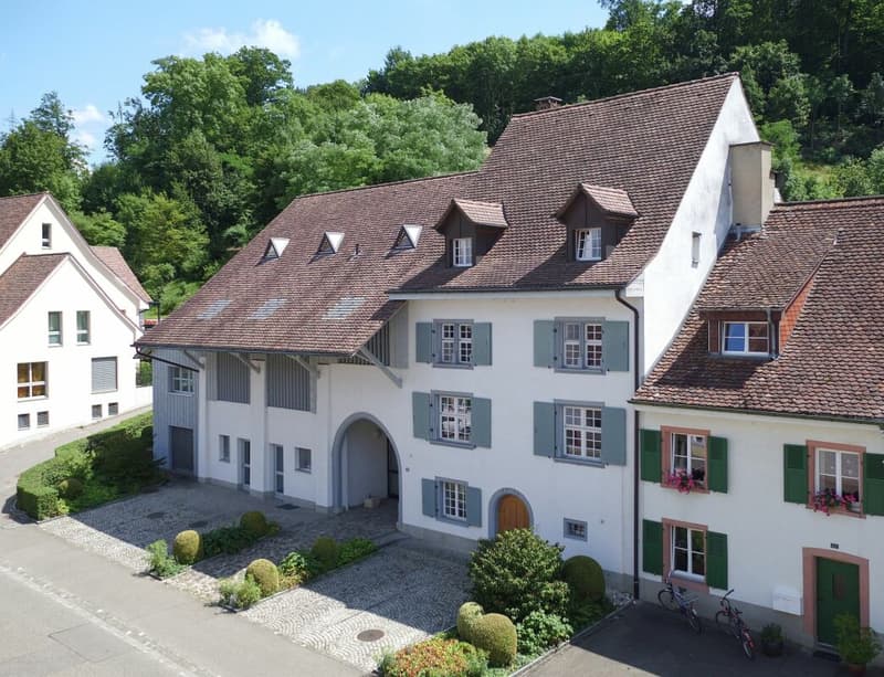 Einzigartige, sehr gepflegte 3.5-Zimmer-Wohnung mit sonnigem Balkon (1)