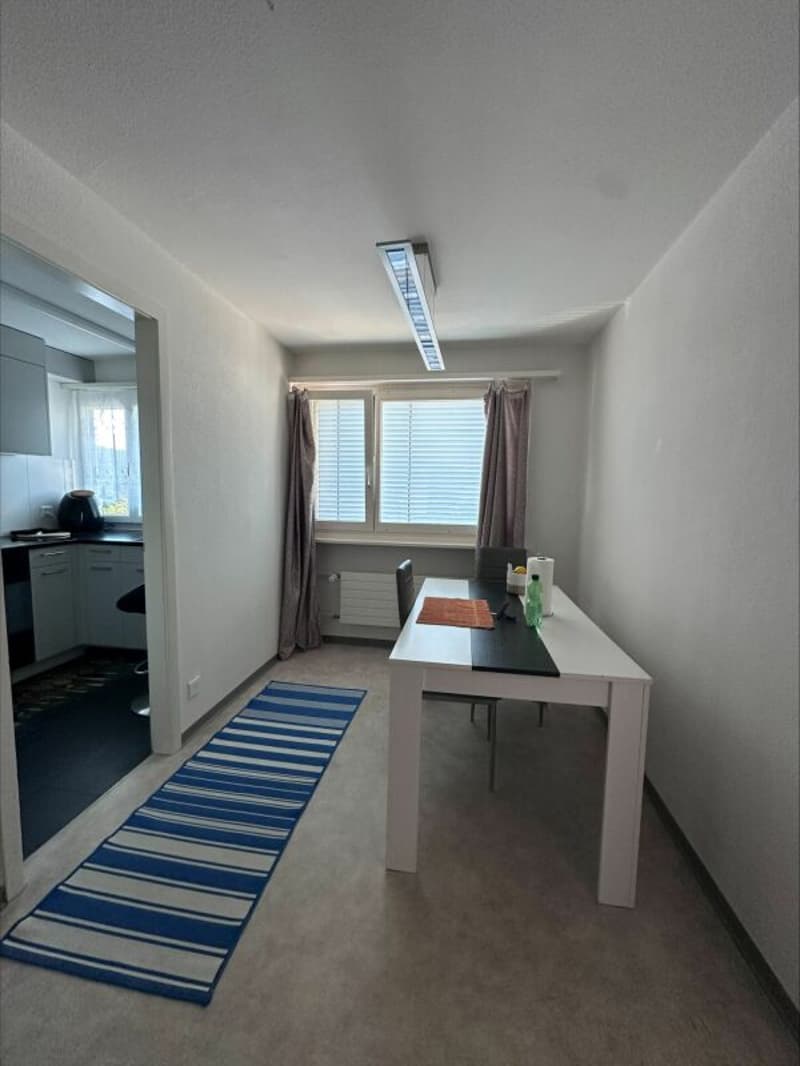 Grosszügige 1.5-Zimmer-Wohnung mit sonnigem Balkon (3)