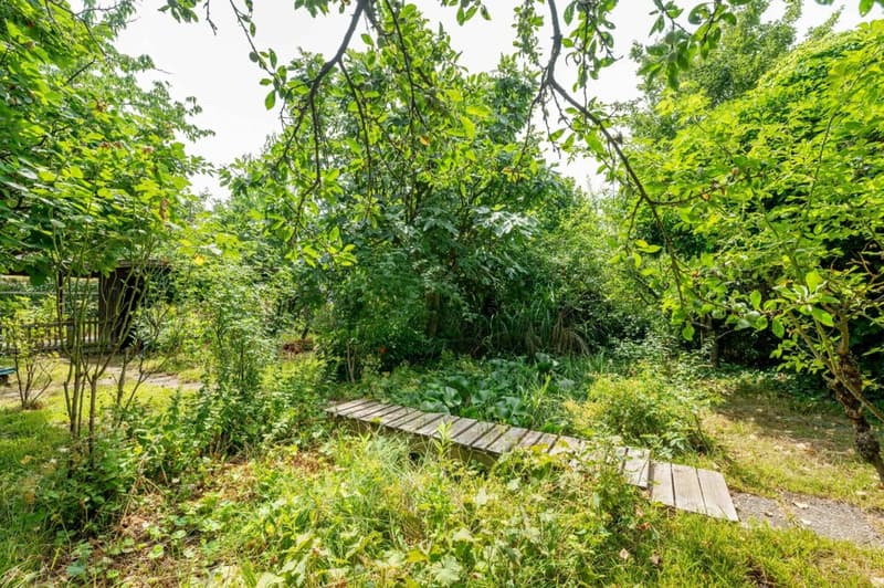 Doppeleinfamilienhaus mit grossem, idyllischen Gartenparadies in Stadtnähe - Ihr neues Zuhause (17)