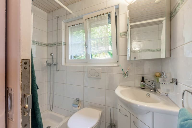 Charmantes 3.5-Zimmer-Einfamilienhaus mit idyllischen Garten (9)