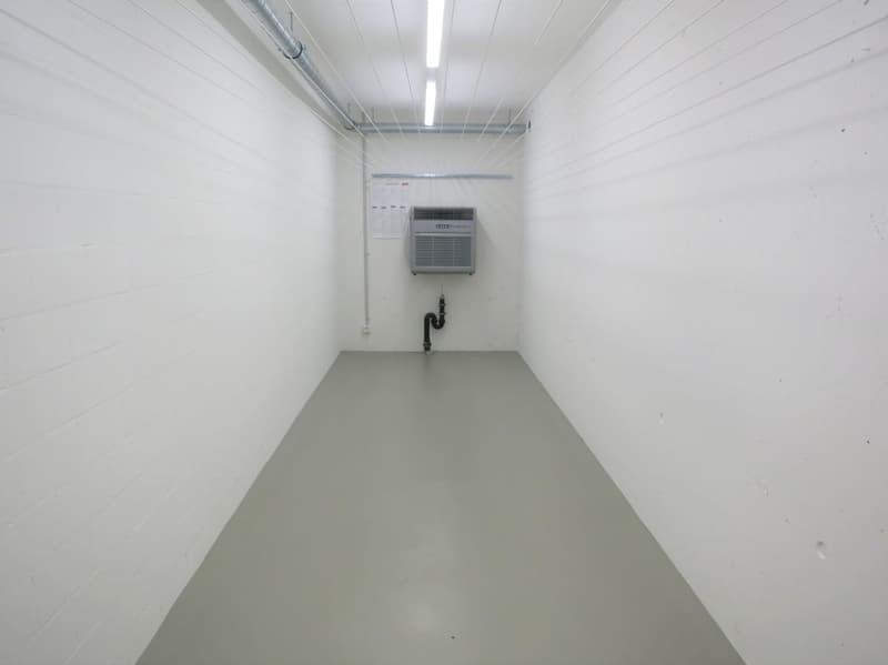 Alterswohnung: Hindernisfreie 2-Zimmer-Wohnung im 8. Stock beim Gesundheitszentrum Brugg (6)