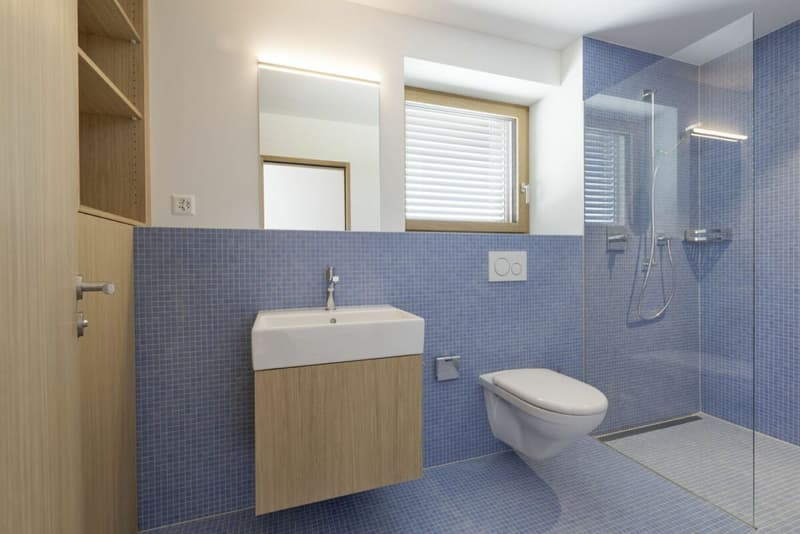 Architektonisches Unikat mit Pool, Liftanlage, vielseitigem Garten und sechs Autoabstellplätzen (7)