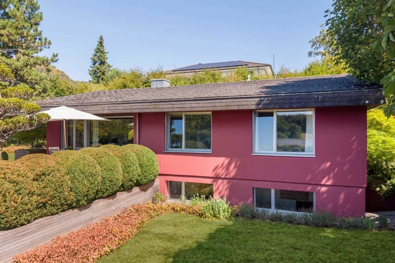 Einfamilienhaus-Bungalow mit exklusiver Gartenanlage und Gewerberaum mit separaten Aussenzugang! (16)