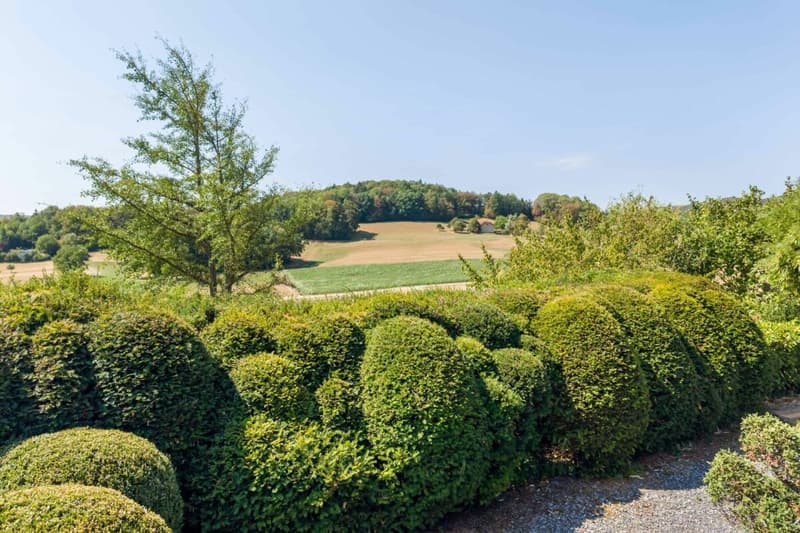 Einfamilienhaus-Bungalow mit exklusiver Gartenanlage und Gewerberaum mit separaten Aussenzugang! (15)