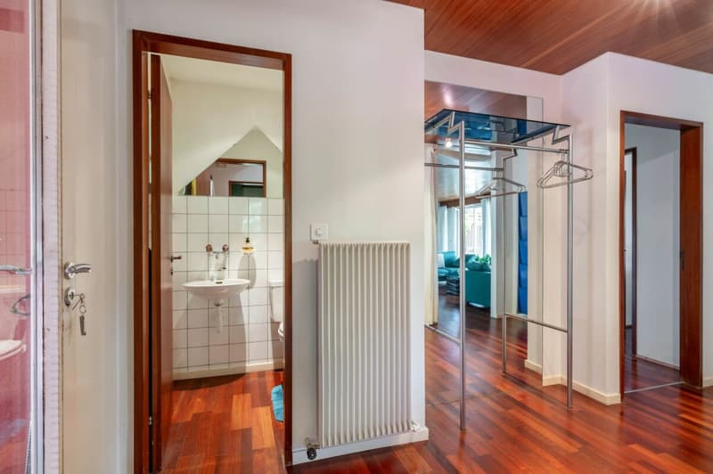 Einfamilienhaus-Bungalow mit exklusiver Gartenanlage und Gewerberaum mit separaten Aussenzugang! (9)