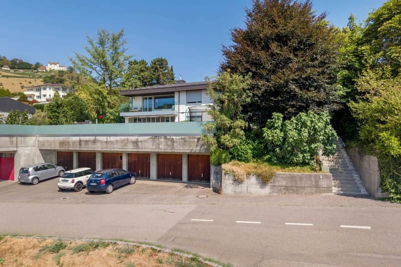 Einfamilienhaus-Bungalow mit exklusiver Gartenanlage und Gewerberaum mit separaten Aussenzugang! (18)
