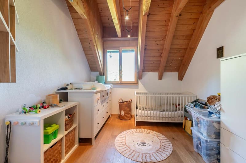 Freistehendes 6.5-Zimmer-Einfamilienhaus am Siedlungsrand mit viel Privatsphäre und herrlichem Weitblick ins Mettauertal (14)