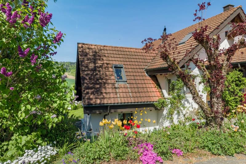 Freistehendes 6.5-Zimmer-Einfamilienhaus am Siedlungsrand mit viel Privatsphäre und herrlichem Weitblick ins Mettauertal (23)