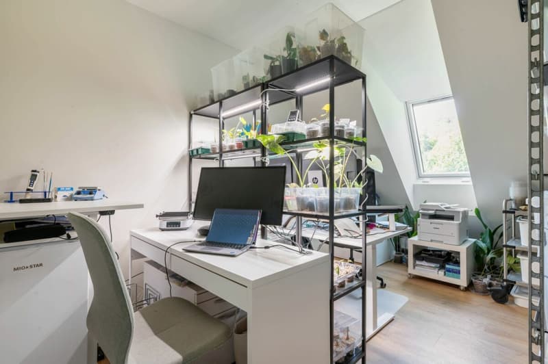 Vollsaniertes geschichtsträchtiges 6.5-Zimmer-Zuhause im Herzen vom steuergünstigen Lieblingsort Habsburg (17)