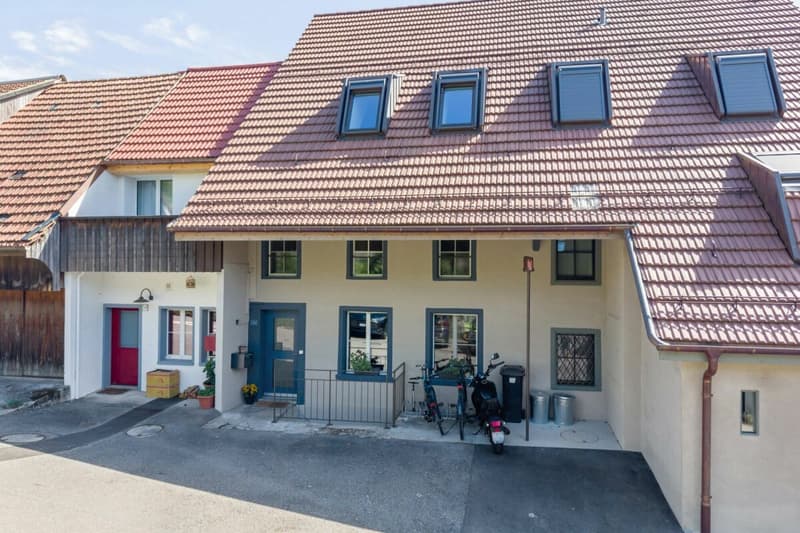 Vollsaniertes geschichtsträchtiges 6.5-Zimmer-Zuhause im Herzen vom steuergünstigen Lieblingsort Habsburg (2)