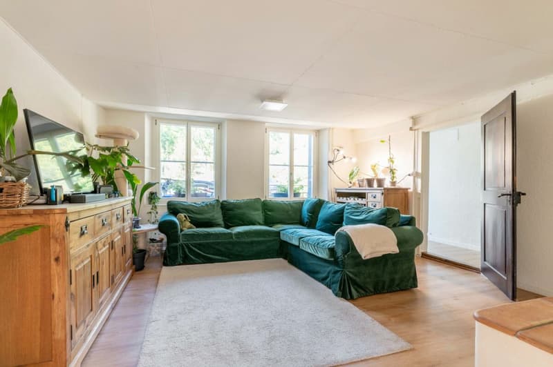 Vollsaniertes geschichtsträchtiges 6.5-Zimmer-Zuhause im Herzen vom steuergünstigen Lieblingsort Habsburg (3)