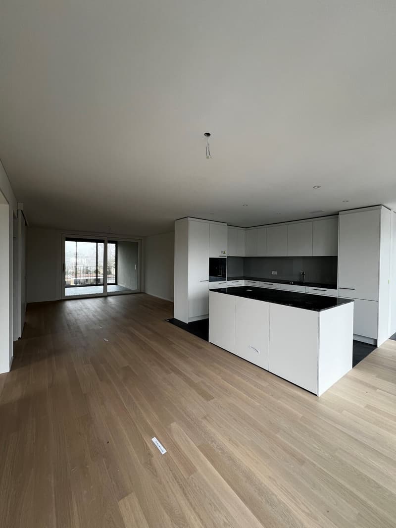 6.5-Zimmer-Wohnung im Eigentumsstandart mitten in Wettingen (1)