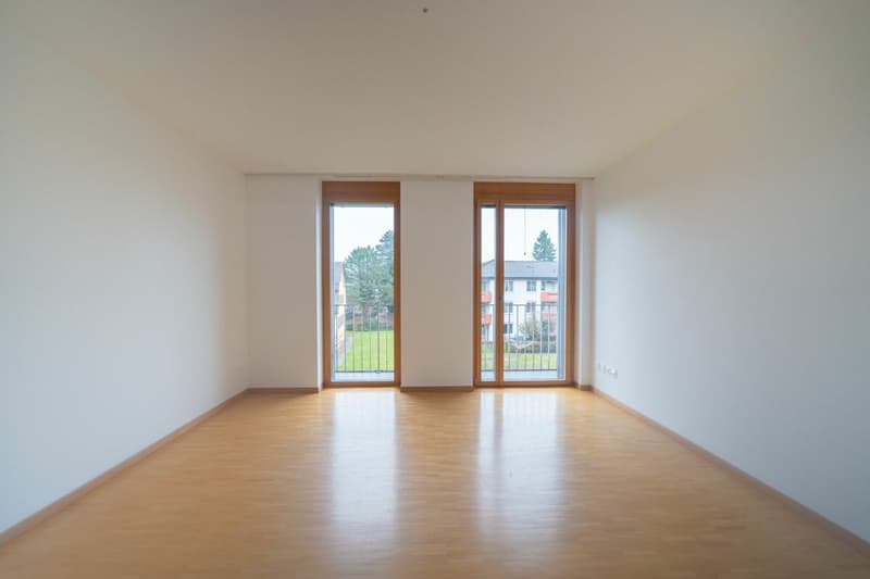 Appartement 4.5 pièces de haute qualité avec poêle suédois et climatisation (9)