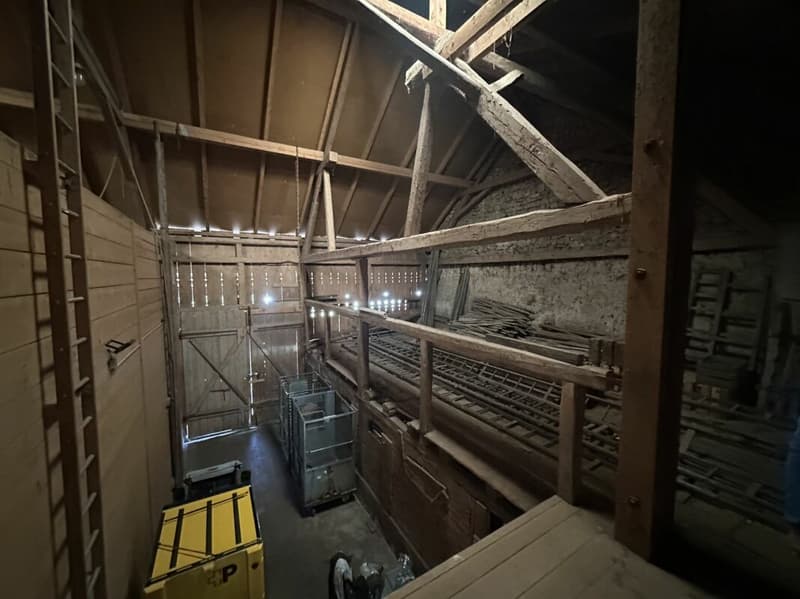Bauernhaus in Gansingen mit Potenzial (29)