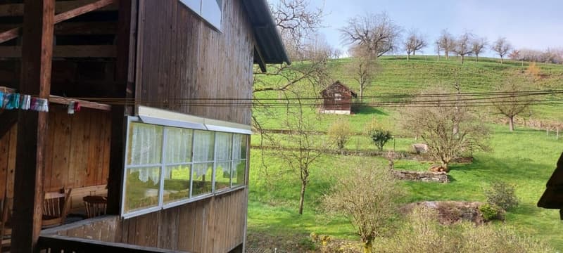 Bauernhaus in Gansingen mit Potenzial (21)