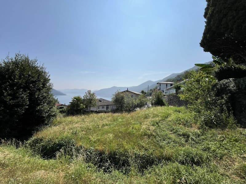 Bauland über dem Lago Maggiore (3)
