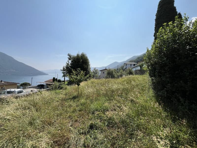 Bauland über dem Lago Maggiore (4)