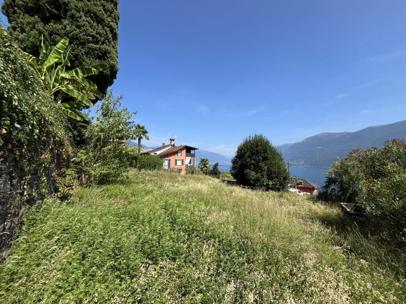 Bauland über dem Lago Maggiore (9)